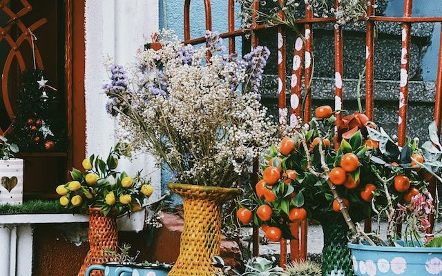 6 Creatieve ideeën voor hekwerkdecoraties in de tuin